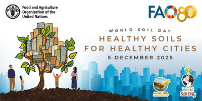 Official World Soil Day share picture. At the top left is the logo of the FAO, at the top right the logo of the 80 year celebration of the FAO. At the left is a tree that grows from soil, the leaves of the tree turn into houses and depict a city. Around the tree are some people. At the right side is written: World Soil Day Healthy Soils for Healthy Cities 5 December 2025. At the bottom right are the logos of the Global Soil Partnership and the official World Soil Day Logo.