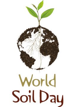 World Soil Day Logo EN