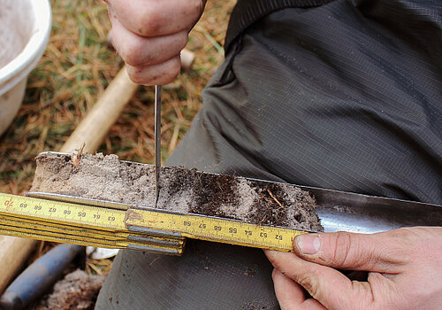 Auger filled with a soil sample on a person's lap In the center of the picture you can see an auger filled with a soil sample on a person's lap. With one hand, a ruler is placed on the drilling stick, with the other hand the person is cutting off a soil sample with a knife.