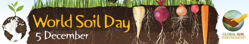 World Soil Day Banner