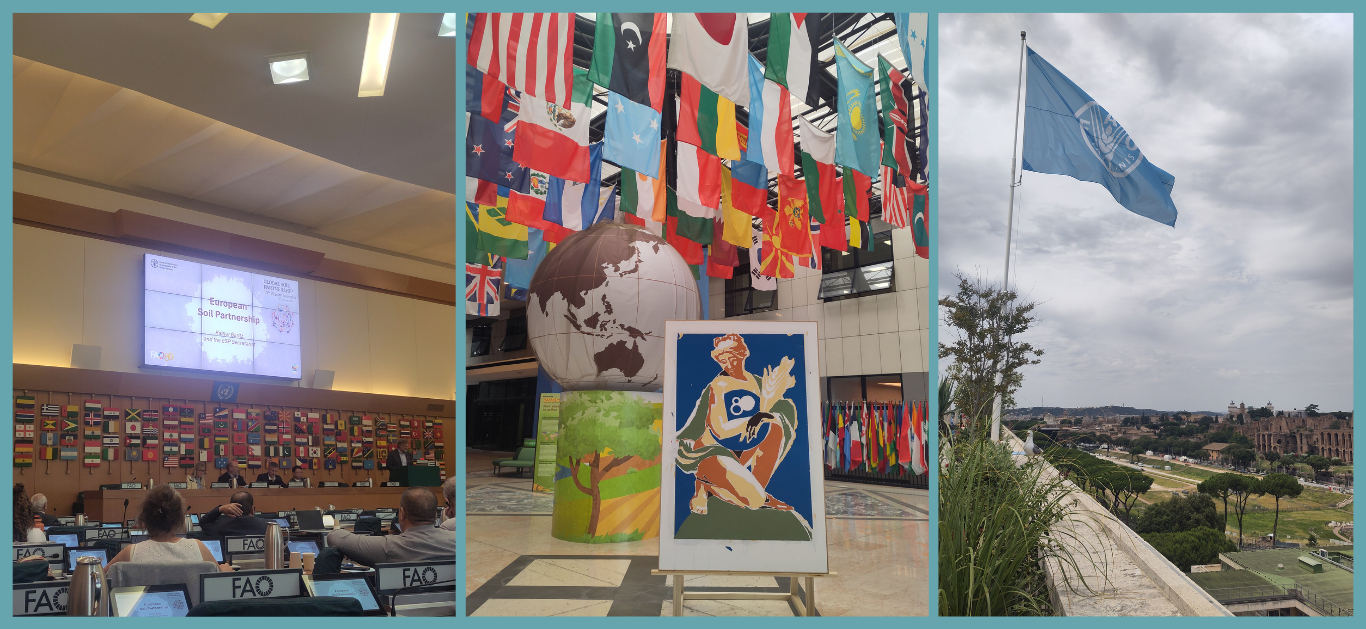 The picture collage contains two pictures: On the left side there is a photo showing one of the entry rooms of the FAO. There are many flags from different countries hanging from the ceiling and in the centre you can see a painting of a woman sitting on the earth and holding wheat in her arms. The number 80 is included  in the painting since the FAO celebrates 80 years of existence in 2025. Behind the picture is a big simulation of the earth. On the right side, you can see a picture of the ESP chair presenting updates of the ESP during the GSP Plenary Assembly. The presentation of the ESP is shown on a big screen, below the screen are all flags from FAO member countries. 